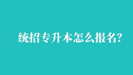 统招专升本怎么报名？