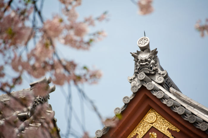 平顶山提升学历方式哪种好？学历提升招生学校有多少？