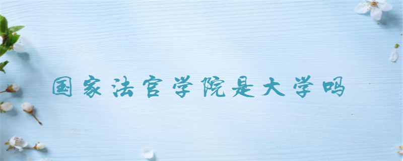 国家法官学院是大学吗