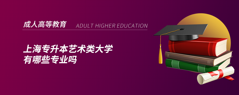 上海专升本艺术类大学有哪些专业吗
