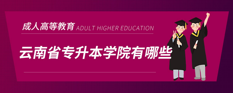 云南省专升本学院有哪些