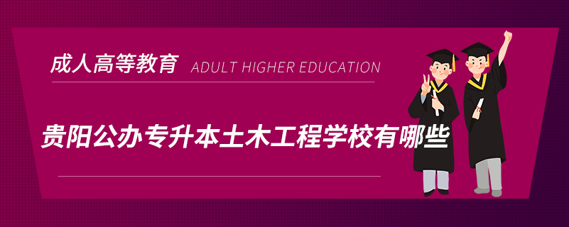 贵阳公办专升本土木工程学校有哪些