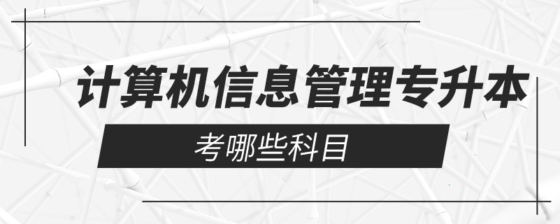 计算机信息管理专升本考哪些科目