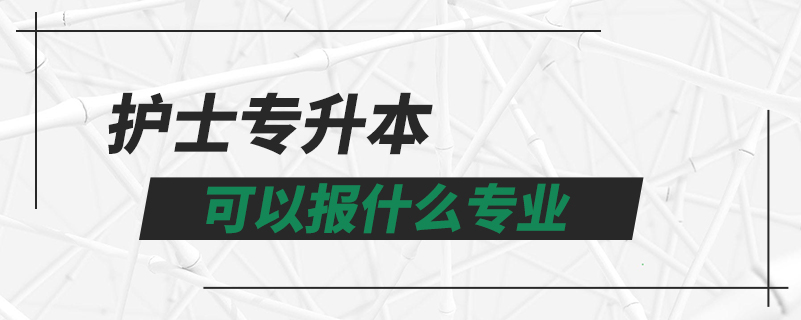 护士专升本可以报什么专业