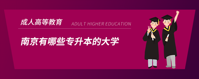 南京有哪些专升本的大学