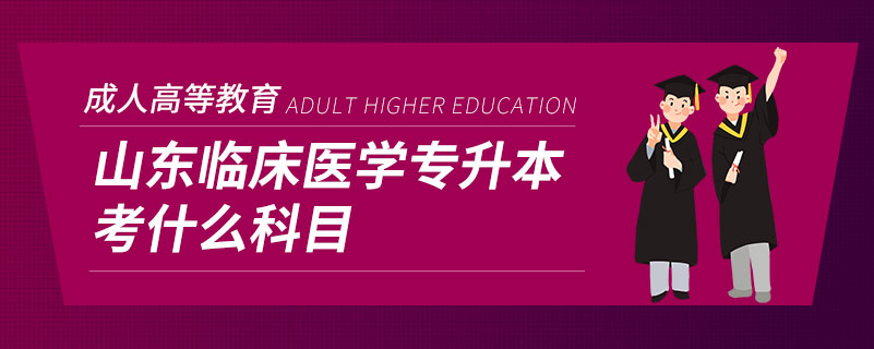 山东临床医学专升本考什么科目