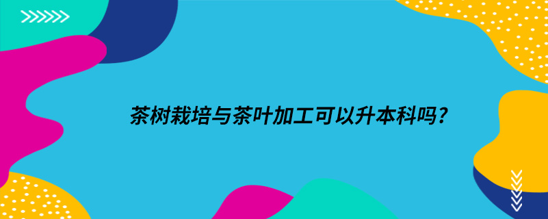 茶树栽培与茶叶加工可以升本科吗?