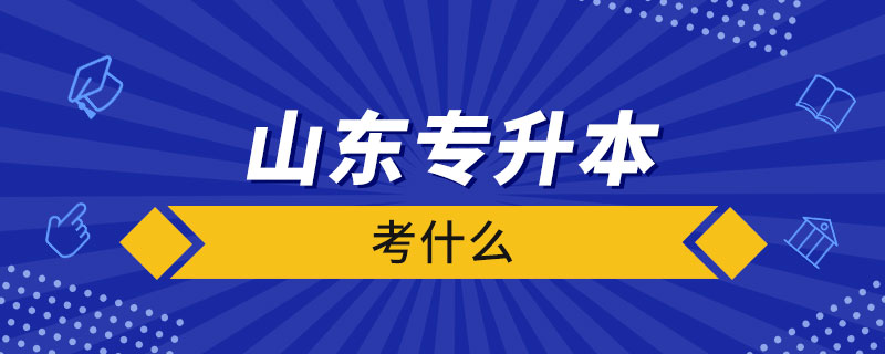 山东专升本计算机考什么