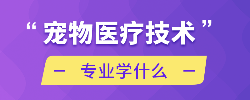 宠物医疗技术专业学什么