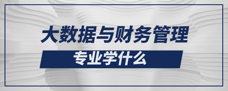 大数据与财务管理专业学什么