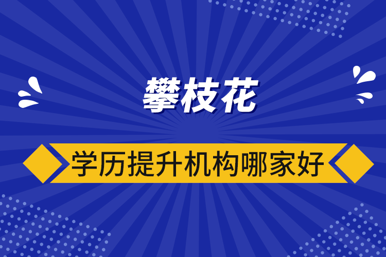 攀枝花学历提升机构哪家好