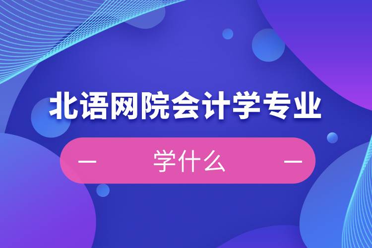 北语网院会计学专业学什么