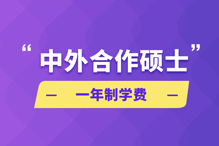 中外合作硕士一年制学费