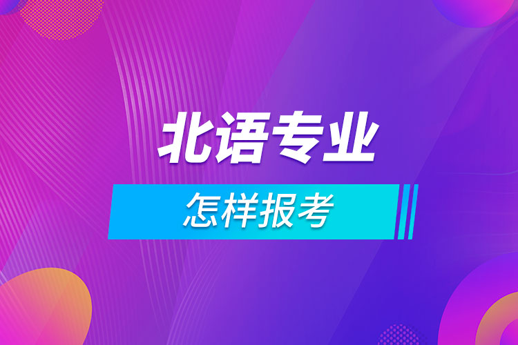 怎样报考北京语言大学专业