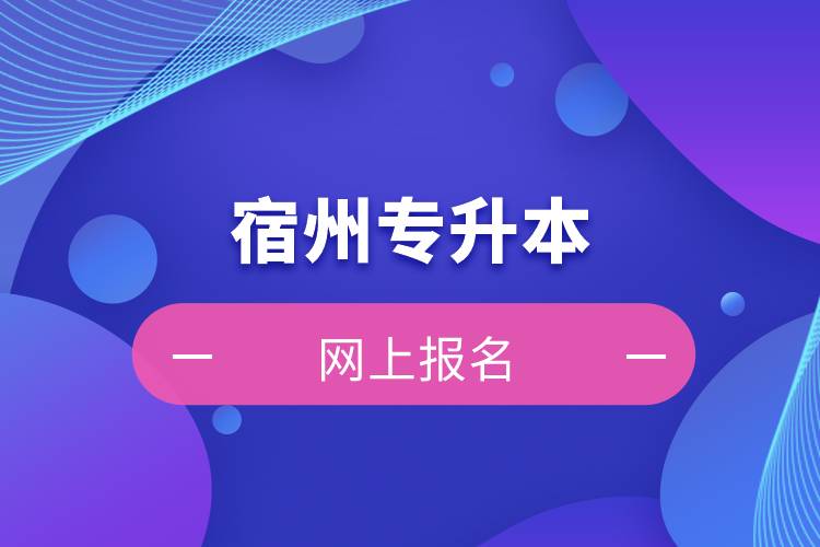 在宿州专升本怎么网上报名？