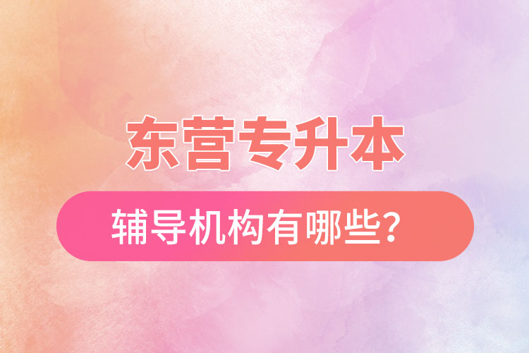 东营专升本辅导机构有哪些？