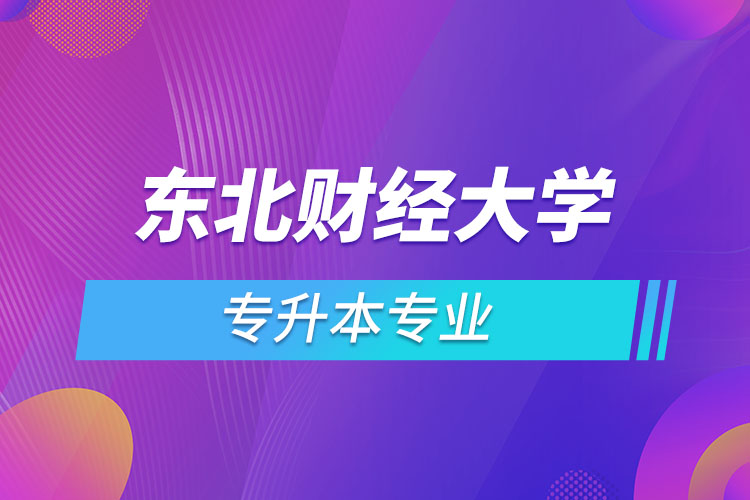 东北财经大学有哪些专升本专业吗？