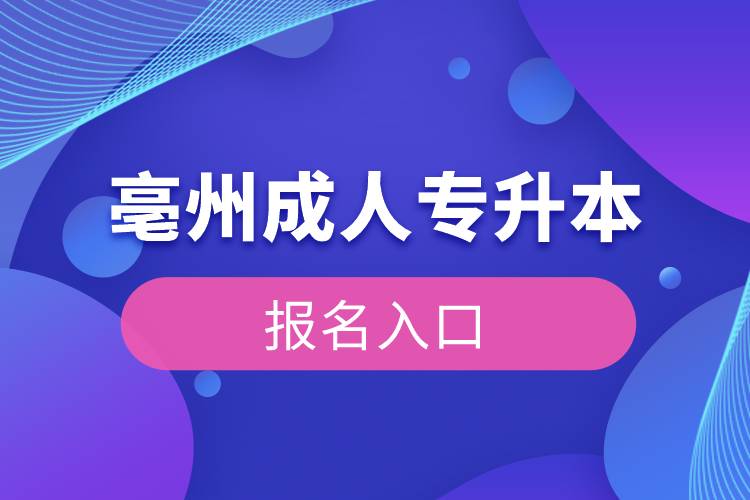 亳州成人专升本报名入口