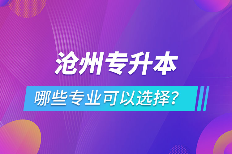 沧州专升本有哪些专业可以选择？