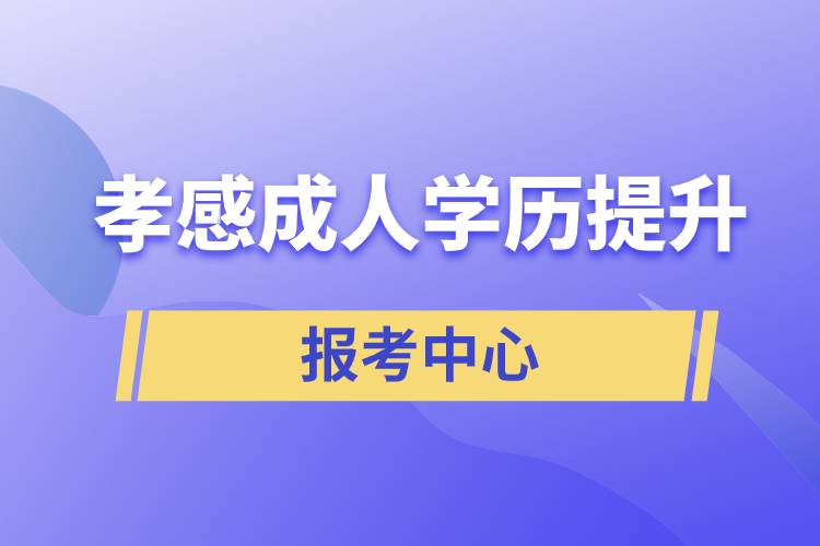 孝感有成人学历提升报考中心吗
