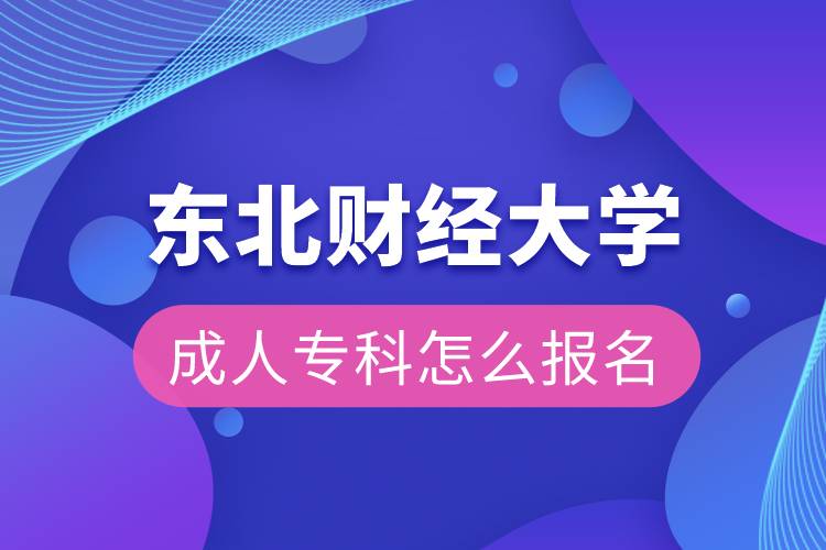 东北财经大学成人专科怎么报名