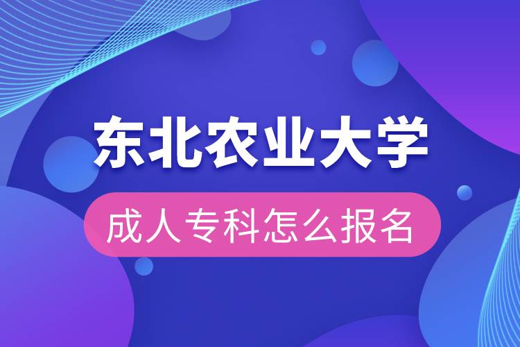 东北农业大学成人专科怎么报名