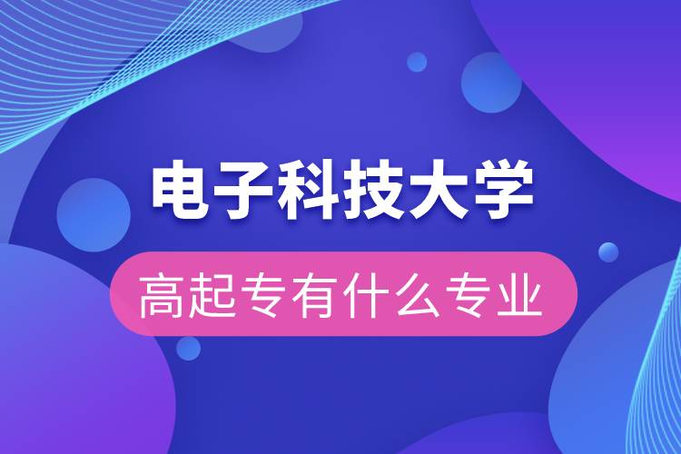 电子科技大学高起本有什么专业