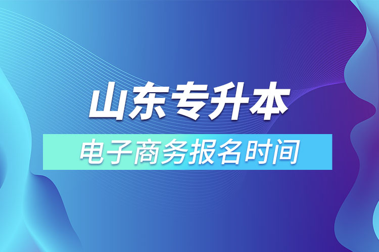 山东专升本电子商务