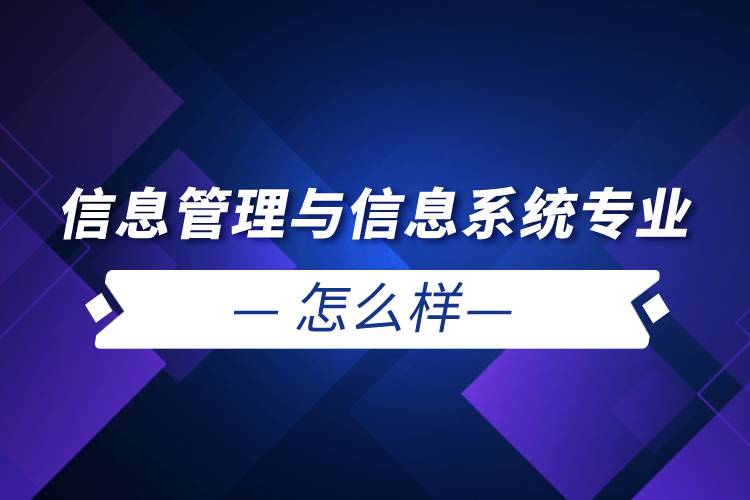 信息管理与信息系统专业怎么样