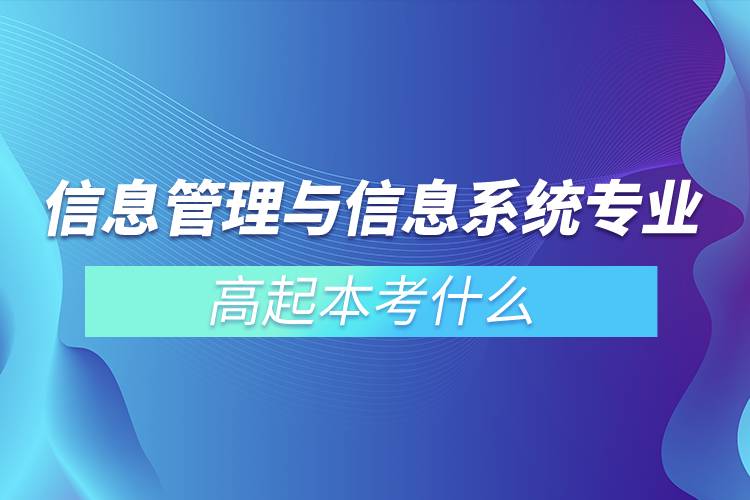 信息管理与信息系统专业高起本考什么