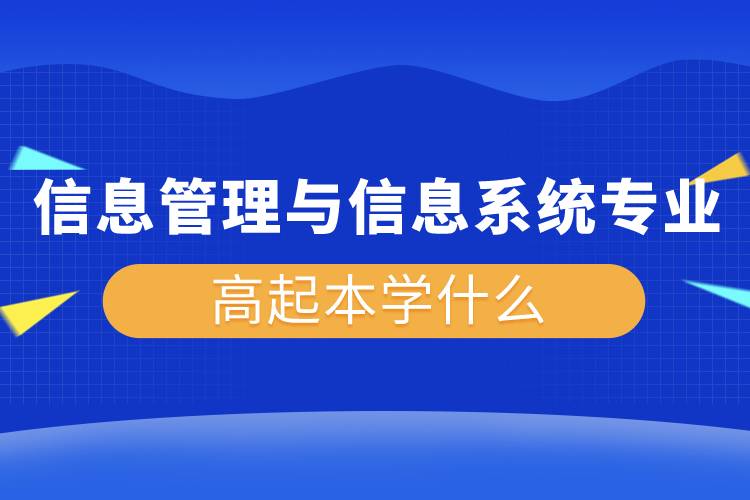 信息管理与信息系统专业高起本学什么