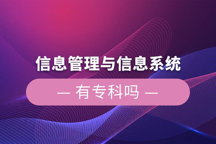 信息管理与信息系统有专科吗