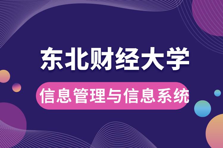 东北财经大学信息管理与信息系统如何？