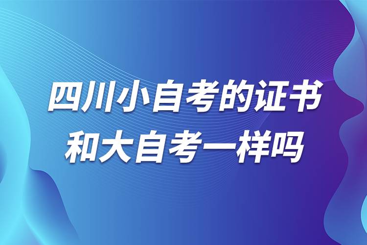 四川小自考的证书和大自考一样吗