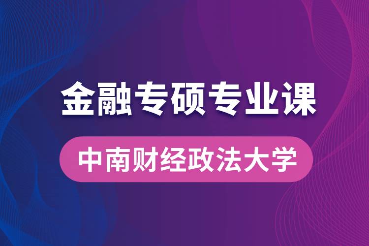 中南财经政法大学金融专硕专业课