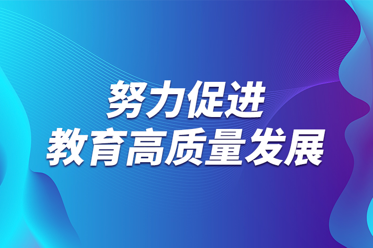 努力促进教育高质量发展