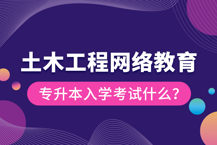 土木工程网络教育专升本入学考试什么？