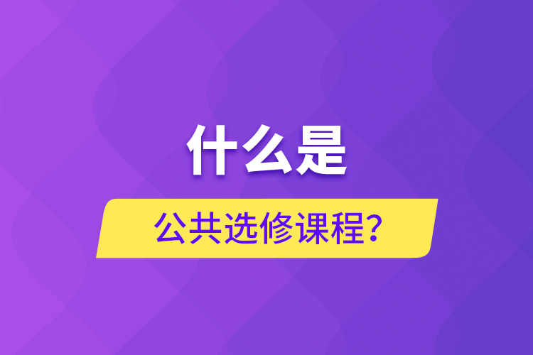 什么是公共选修课程？