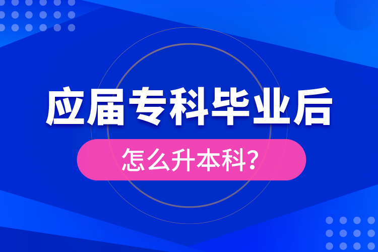 应届专科毕业后怎么升本科？