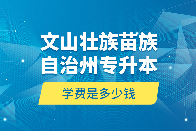 文山壮族苗族自治州专升本学费是多少钱？