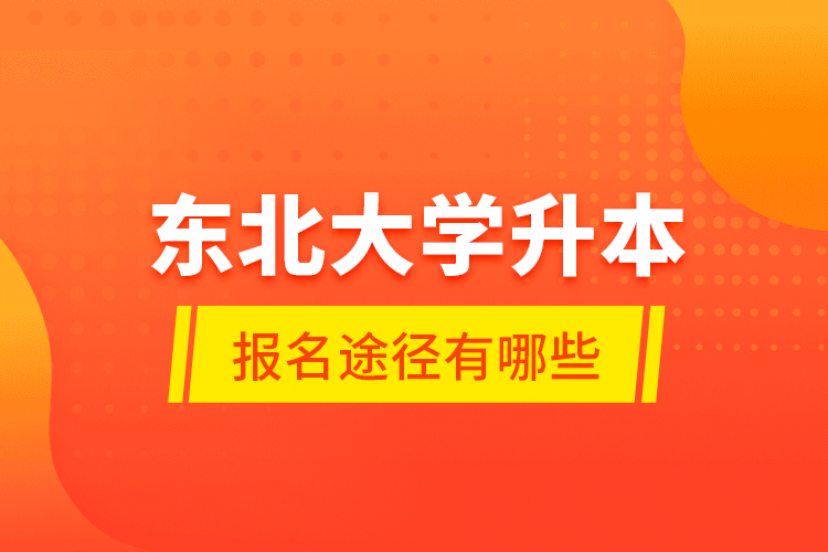 东北大学升本报名途径有哪些？