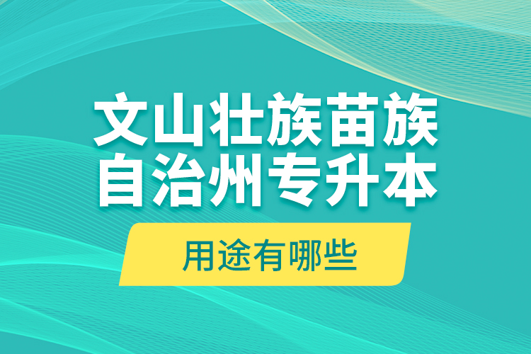 文山壮族苗族自治州专升本的用途有哪些？