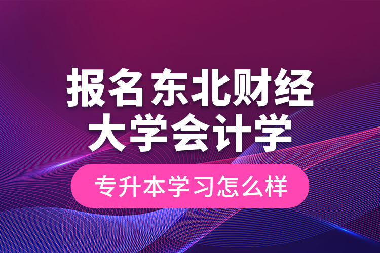 报名东北财经大学会计学专升本学习怎么样？