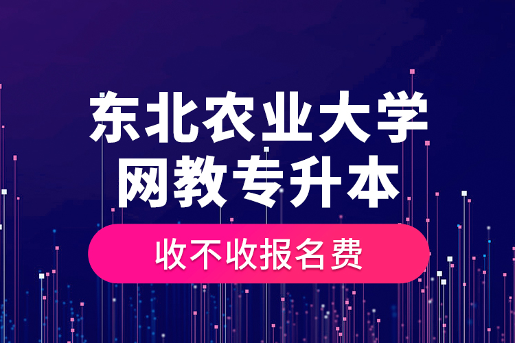 东北农业大学网教专升本收不收报名费？