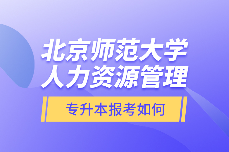 北京师范大学人力资源管理专升本报考如何？