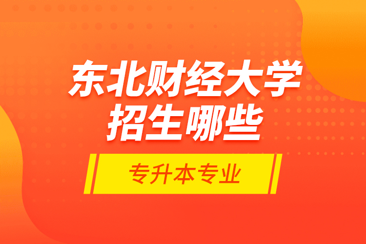 东北财经大学招生哪些专升本专业？