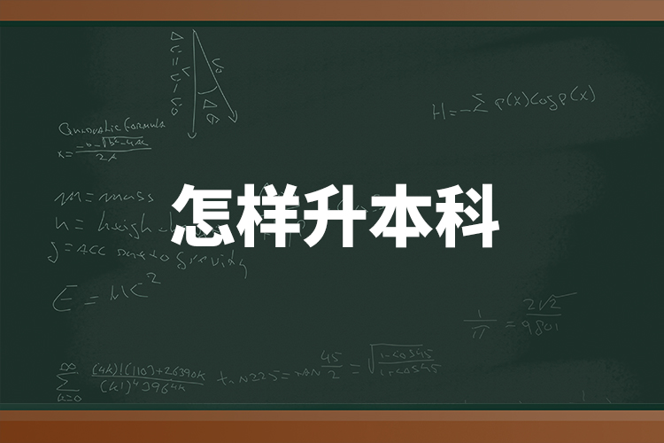 怎样升本科？